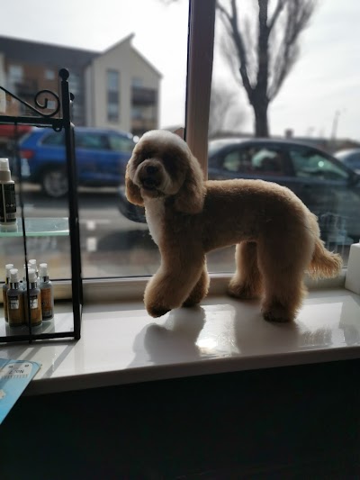 Grooming Van Image