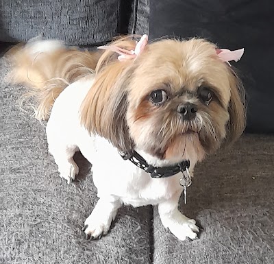 Grooming Van Image