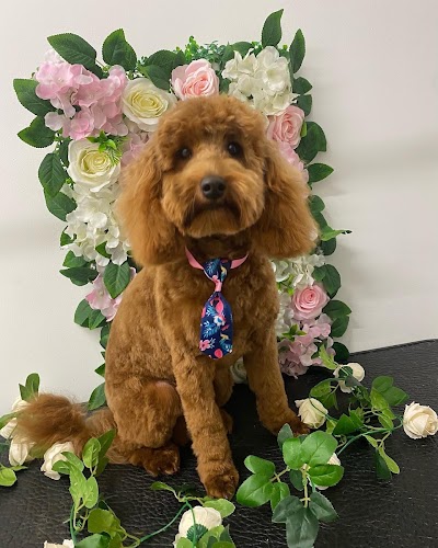 Grooming Van Image
