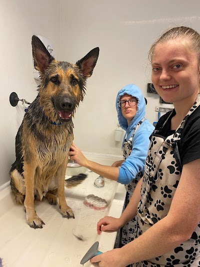 Grooming Van Image