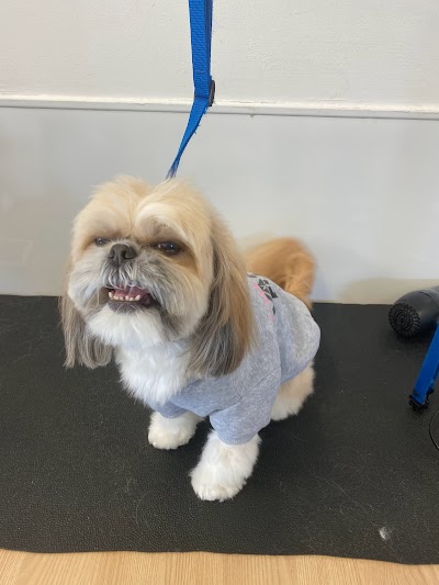 Vanity Fur Dog Groomers and Spa Hartlepool