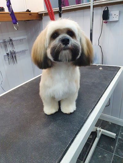 Grooming Van Image