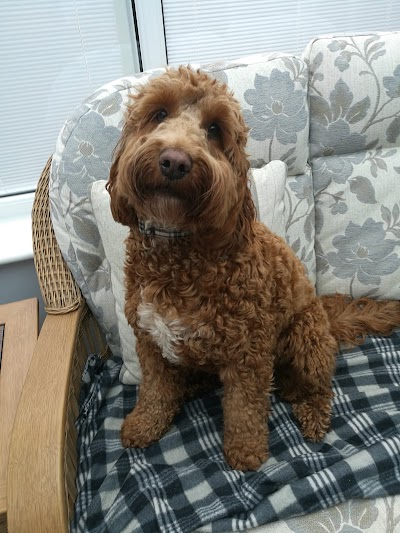 Grooming Van Image