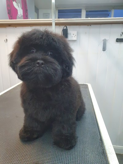Grooming Van Image