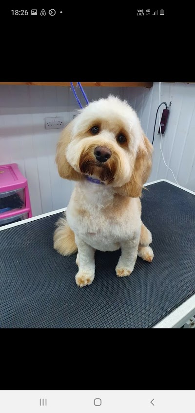 Grooming Van Image