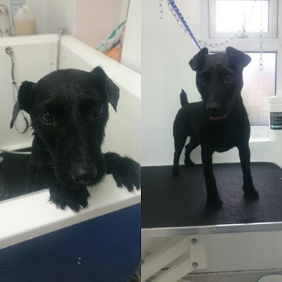 Grooming Van Image