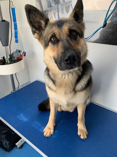 Grooming Van Image