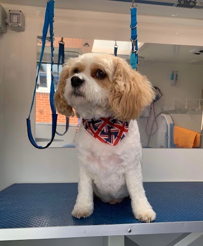 Grooming Van Image