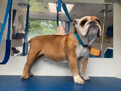 Grooming Van Image