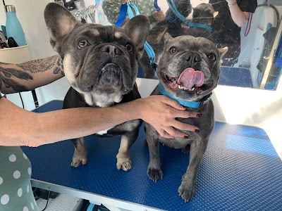 Grooming Van Image