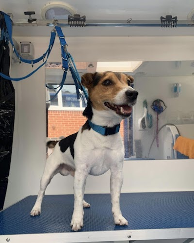 Grooming Van Image