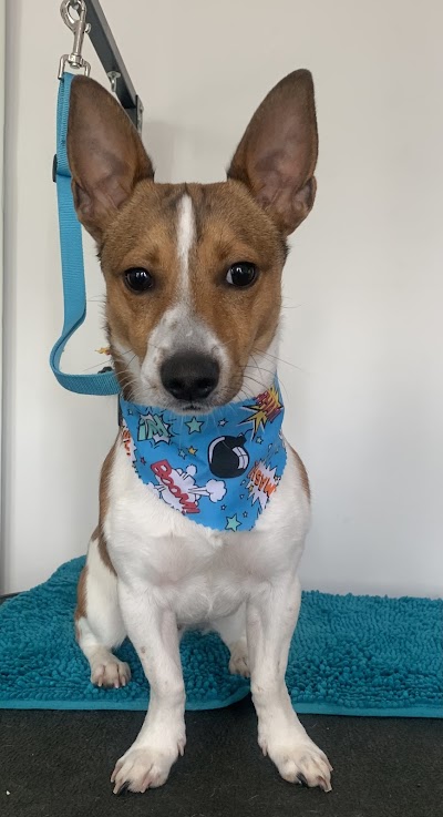 Grooming Van Image
