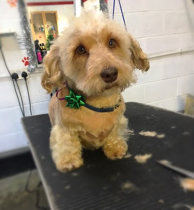Grooming Van Image