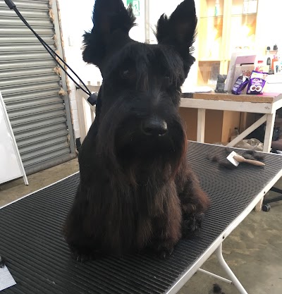 Grooming Van Image
