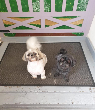 Grooming Van Image