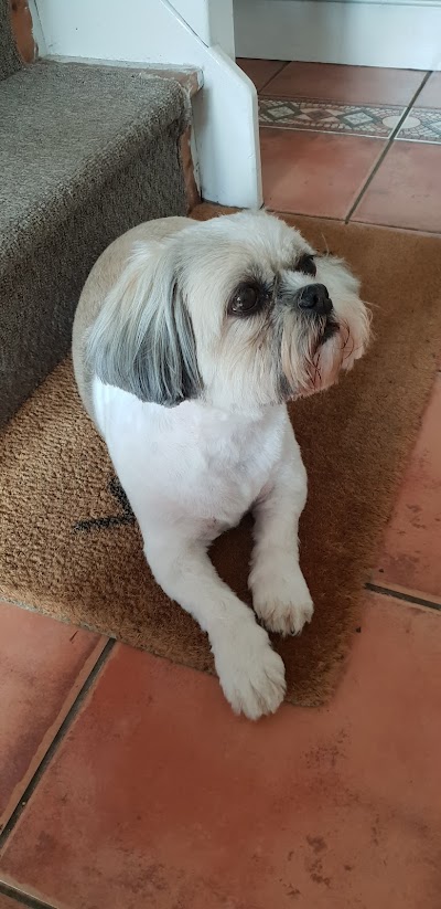 Grooming Van Image