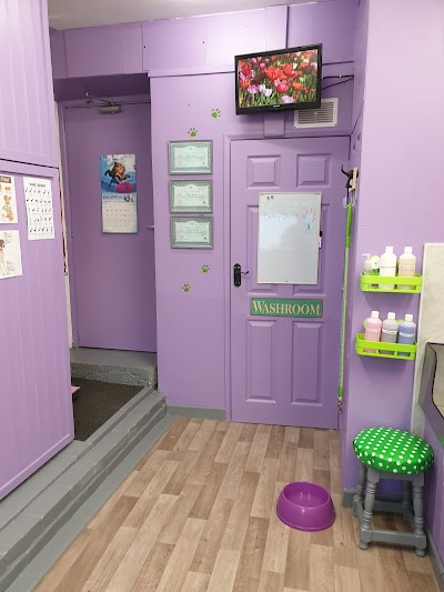 Grooming Van Image