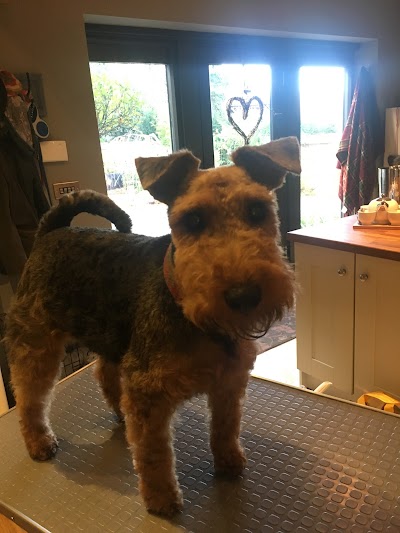 Grooming Van Image