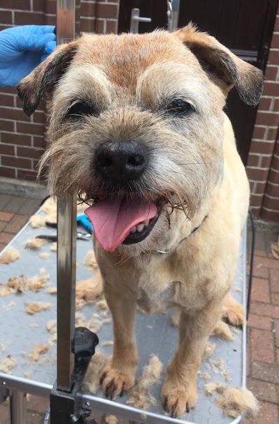 Grooming Van Image