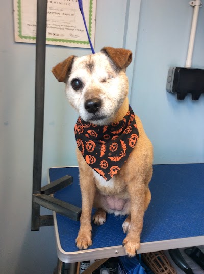 Grooming Van Image