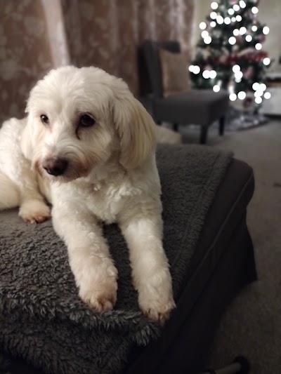Grooming Van Image
