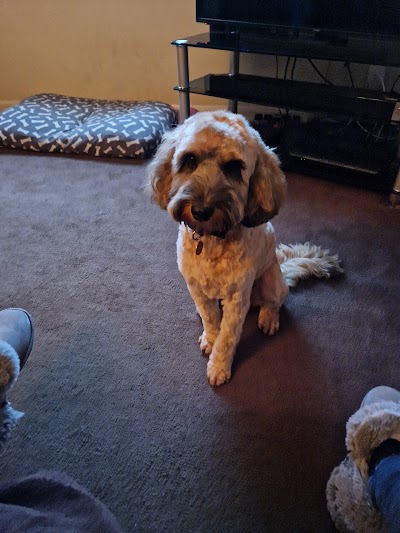 Grooming Van Image