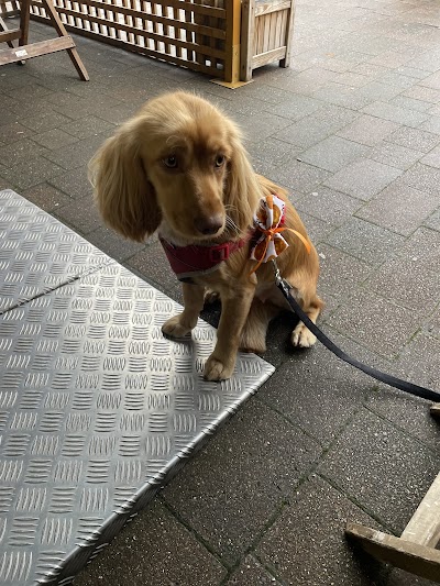 Grooming Van Image