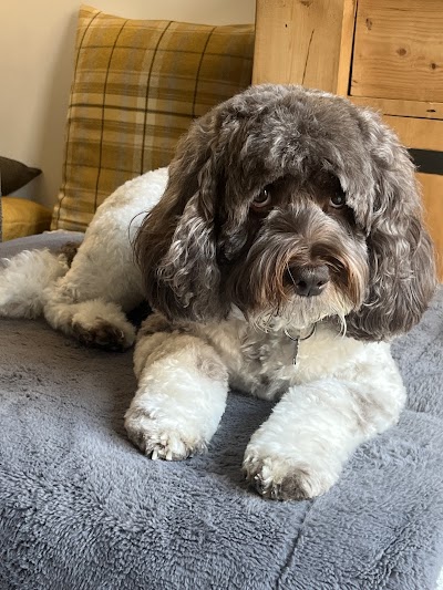 Grooming Van Image