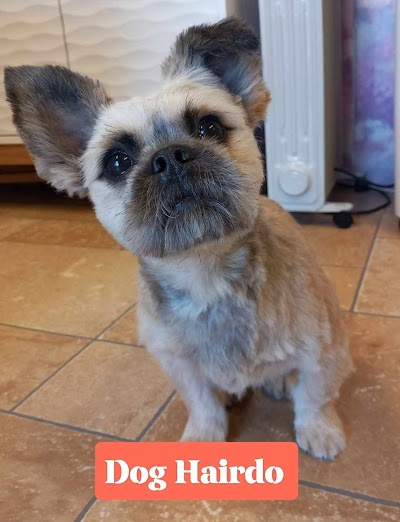 Grooming Van Image