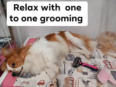 Grooming Van Image