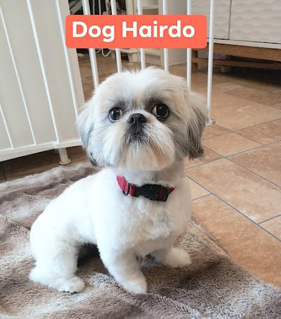 Grooming Van Image