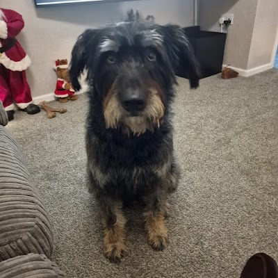 Grooming Van Image