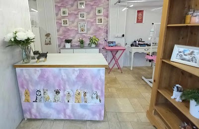 Grooming Van Image