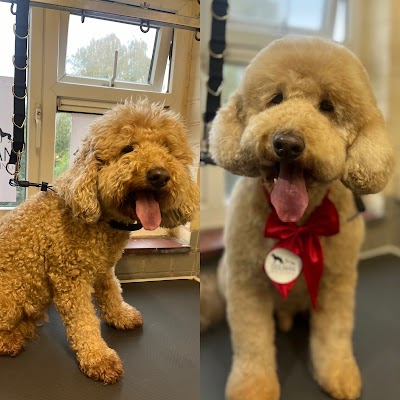 Grooming Van Image