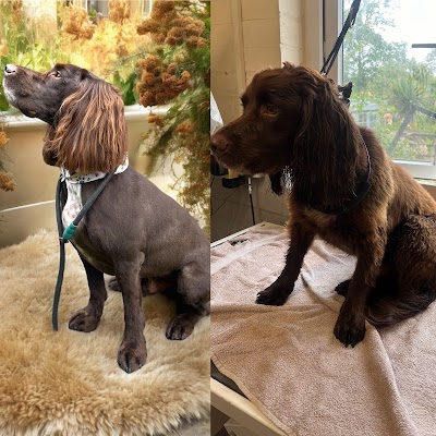 Grooming Van Image