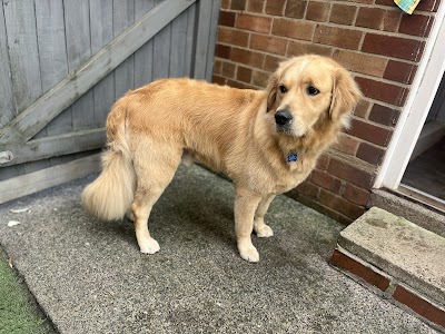 Grooming Van Image