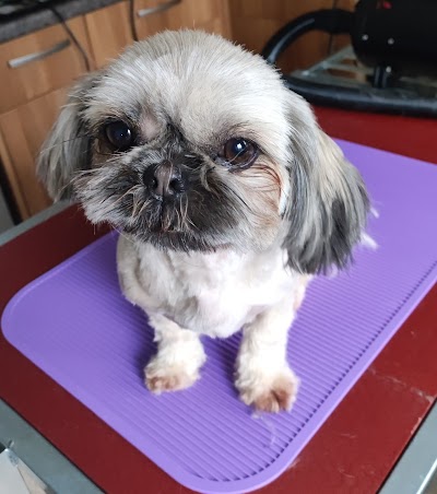 Grooming Van Image
