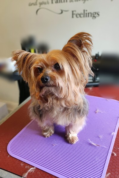 Grooming Van Image