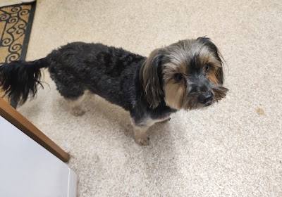 Grooming Van Image