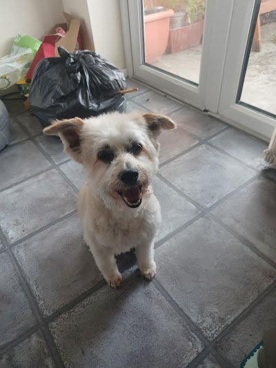 Grooming Van Image