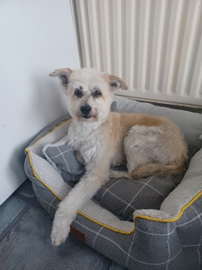 Grooming Van Image