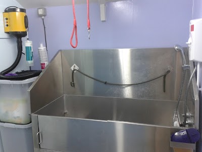 Grooming Van Image