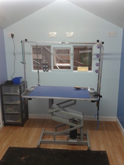 Grooming Van Image