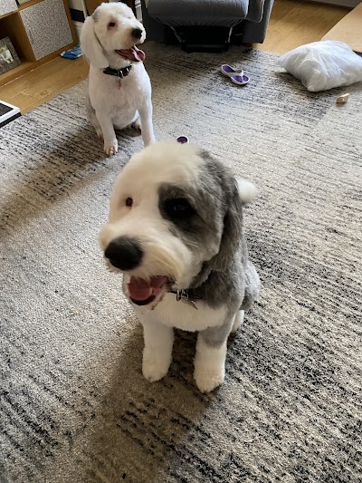 Grooming Van Image