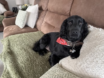 Grooming Van Image