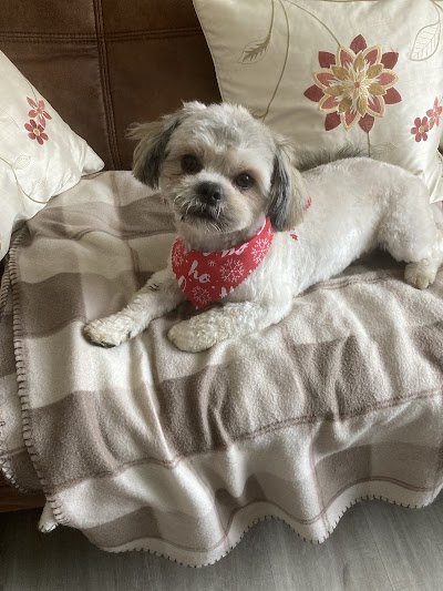 Grooming Van Image