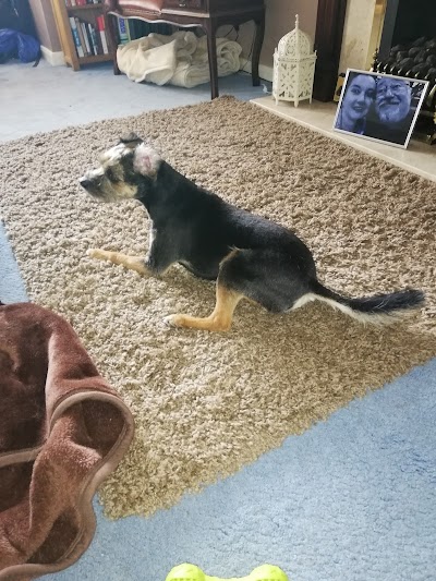 Grooming Van Image