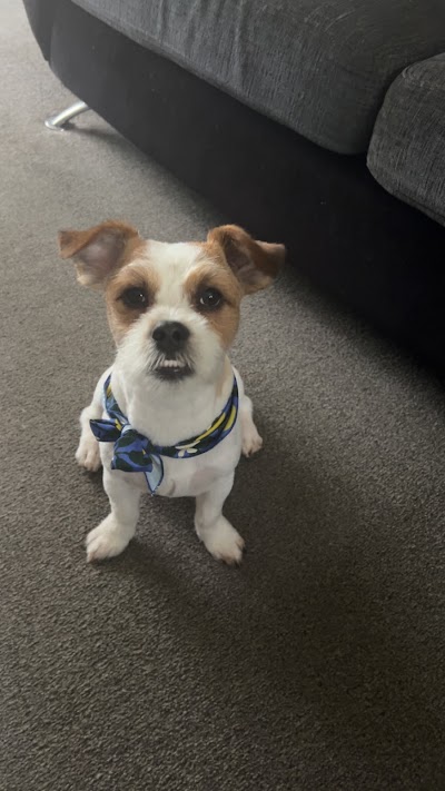 Grooming Van Image