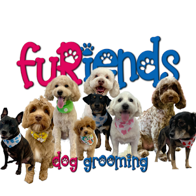Furiends Dog Grooming