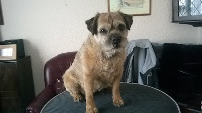 Grooming Van Image